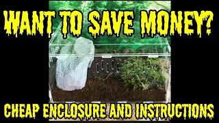 I CAN save you Money!! Part 1 Cheap Spider Enclosure