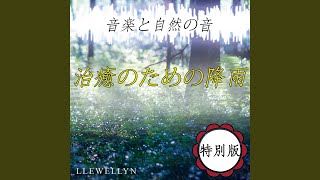 自然の音: 雷雨 (Bonus Track)