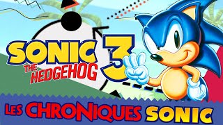 SONIC 3 (1994) - LES CHRONIQUES SAUNIQUES #18 - PuNkY