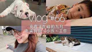 Vlog Diary #66 充實又忙碌的九月，狗狗、小孩、工作開會：）｜Jessica 潔西卡