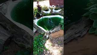 Create Your Own Garden Pond Fountain/Planter Filtration #gardenpond #ponds #ponddesign