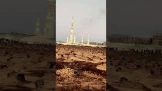 Jannat al-Baqi | Al Masjid an Nabawi | Madina Sharif.#Short @ADIL EYE VLOGS.