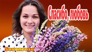 Sevenrose   Спасибо, любовь  ХИТ ШАНСОНА ! Вот Это Песня !!! Вы только послушайте !