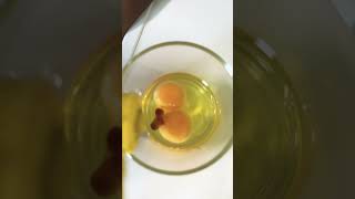 How to boil a soft yolk egg