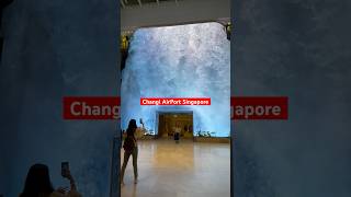 Changi AirPort Singapore Terminal2 #changiairportsingapore #shortfeed