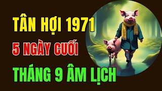 Tử Vi Tuổi Tân Hợi 1971. 5 Ngày Cuối Tháng 9 Âm Lịch. Chú ý 3 điều này để kích hoạt tài lộc