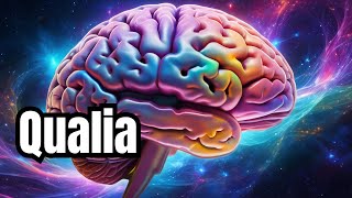 What is Qualia?