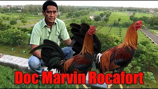 Lets Visit The Farm Of Doc Marvin Rocafort Farm