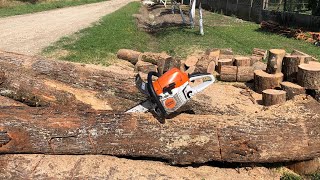 Stihl MS 241 C-M 35 cm picco 1,3mm stock