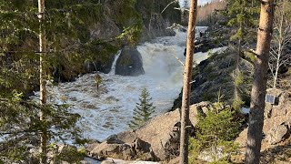 Моя родная Карелия- водопад Кивач