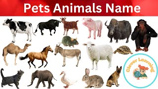 Pet Animals Name