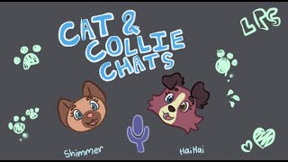 Cat & Collie Chats Ep. 1: Our Introduction!