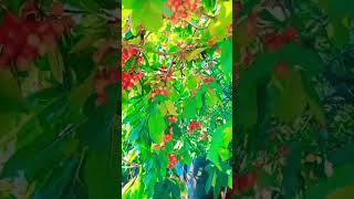 Как прекрасен этот мир🌺🌺🌺