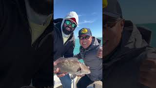 Ending 2023 with one last fishing trip | Tampa fishing