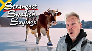 10 Bizarre Swedish Sayings Explained