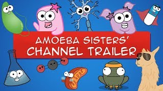 The Amoeba Sisters YouTube Trailer (OLD VIDEO)