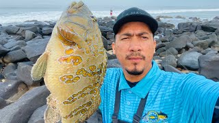 Pesca de mero chino🔥|| pesca entre rocas||pesca de orilla|| las Labradras sinaloa🌊🎣