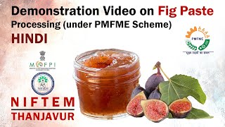 Demonstration Video on Fig Paste Processing (under PMFME Scheme) -  HINDI