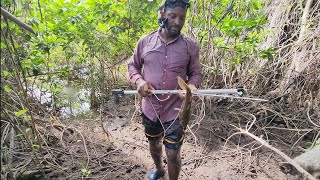 hunting so hard to catch some fish at the sea and in the crocodile swamp