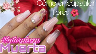 Diseño de uñas con naturaleza muerta encapsulada