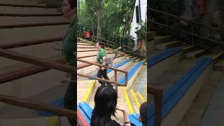 Lemur Show at Singapore Zoo! Pt1 #shorts #lemur #zoo #singapore #ytshorts