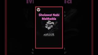 Sholawat Nabi Mamadda #sholawatmerdu #sholawat #liriklagu #storywa #status #cintasholawat #doa