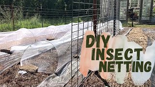 I'M BACK! | Life Update & DIY Insect Netting