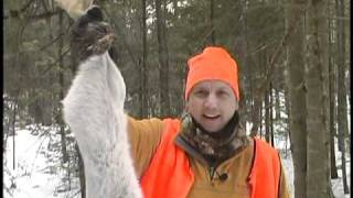 Snowshoe Rabbit Hunting