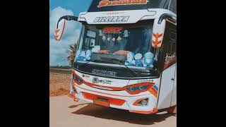 Story wa Cinematic bus SINGA RAJA PUTRA ||Story wa bus keren||