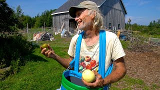 Apple Picking 101 W/ Jim Kovaleski!