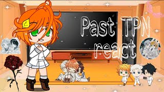 Past TPN react//sorry it's short//enjoy 🙂