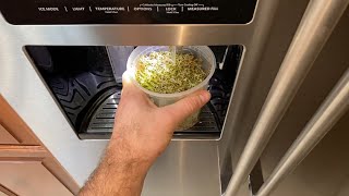 ⚠️☥⚠️RANDOM HEALTH RANT⚠️☥⚠️ GROWING SPROUTS & GROWING YOUR OWN FOOD