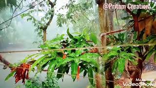 Mausam Hai Barish Ka Aur Yaad Tumhari Aati Hai.....🤗😔