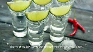 20 Best Tequilas In Mexico