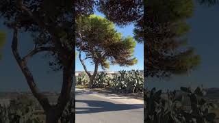 Driving to Naxxar, Malta | Life on a small island in Europe | Nature & Architecture | Check the bio.