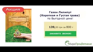 Купить Газон с Короткой и Густой Травой. Не требует Частых Стрижек!