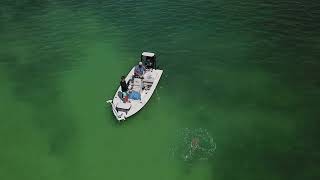 Catch and release   Florida keys  Shark