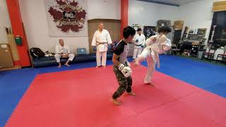 Sparring With A Taekwondo Green Belt And Shotokan Brown Belt.