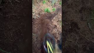 Which bike am I riding 🧐- Loamy MTB Track