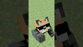 kung Fu panda #minecraft #memes #minecraftmemes #animation #funny #minecrafthumor #minecraftjokes