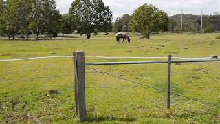 sustaining rangelands in australia horses vs cows series 2 episode 2