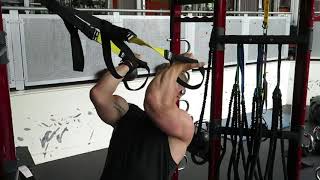 High Bicep Curl - TRX