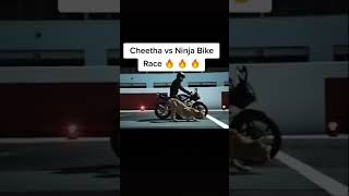 cheeta Vs bike race |who will win ..   ||Imran khan song || I am a rider #short |kyz short|