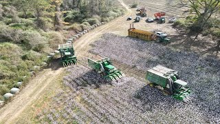 Rolling into the cotton field 3 Deep!