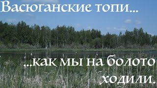 Поход на Васюганские болота