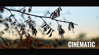 Canon EOS R50 Cinematic Footage