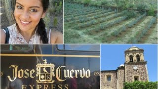 GUADALAJARA, MEXICO: How to make TEQUILA!