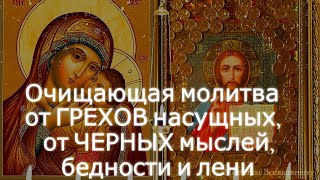 Соборная вычитка. Очищающая молитва от ГРЕХОВ насущных, от ЧЕРНЫХ мыслей, бедности, лени и зависти