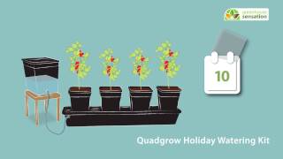 Quadgrow Holiday Kit