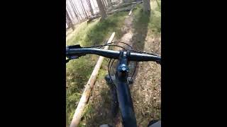 Homemade mtb park